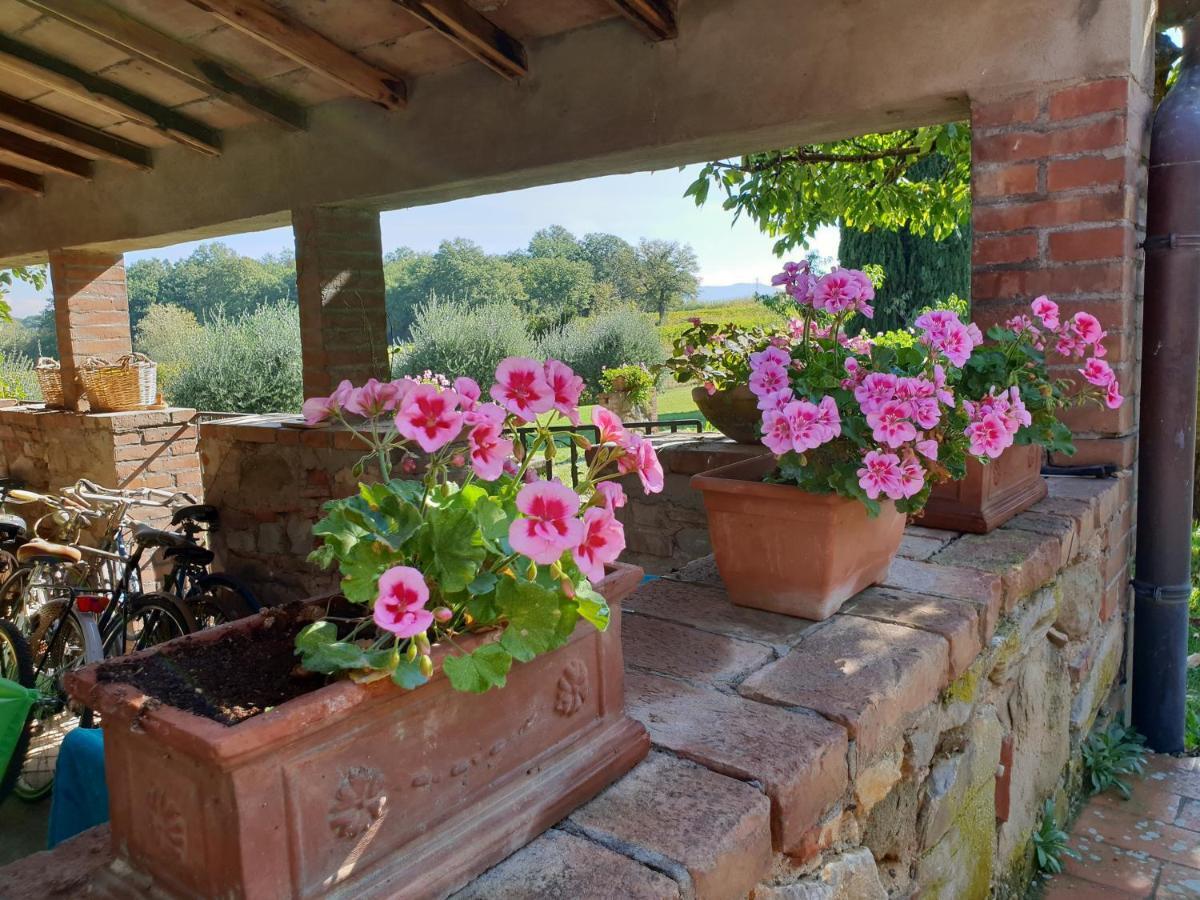 Agriturismo Il Sole Verde Bucine Exteriör bild